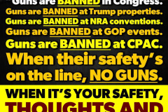 20250828-guns-are-banned