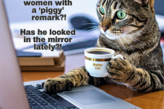 20251118-trump-piggy-cat