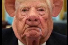 20251119-trump-pig-2