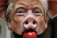 20251119-trump-pig-gag