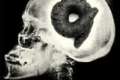 20251119-trump-turd-brain