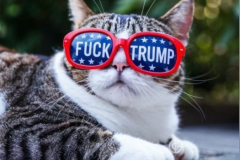 20260114-trump-cat-glases