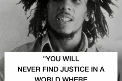 20260116-marley-rules