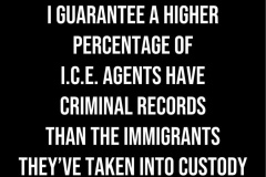 20260120-ice-criminal-records
