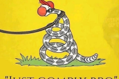 20260120-ice-rattlesnake