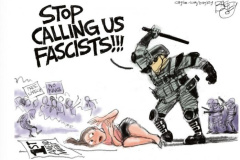 20260120-ice-stop-calling-us-fascists