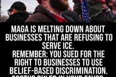 20260120-maga-meltdown-ice