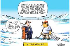 20260120-trump-greenland-not-green