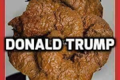 20260120-trump-turd-2