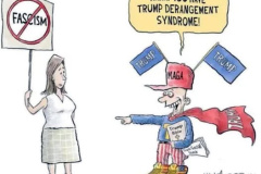20260128-tds