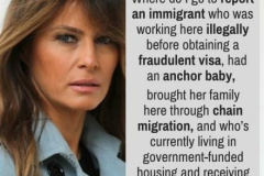 20260129-melania-ice-illegal