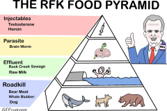 20260317-rfk-food-pyramid