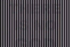 20260317-shake-your-head