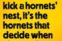 20260403-kick-hornets-nest