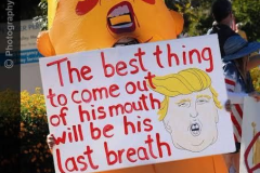 20260412-trump-last-breast