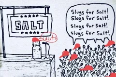 20260415-maga-slugs-for-salt