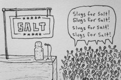 20260415-slugs-for-salt