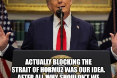 20260415-trump-blocking-hormuz-our-idea