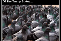 20260419-pigeons-await-trump-statue