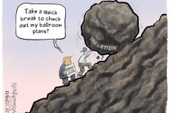 20260516-trump-inflation-ballroom-nick-anderson
