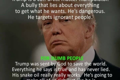 20260531-trump-for-intelligent-people