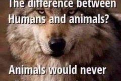 20260609-difference
