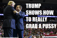 20260610-trump-grabs-pussy-ted-cruse