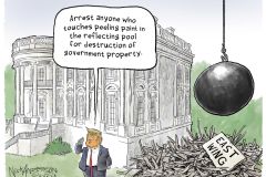20260622-trump-peeling-paint-nick-anderson