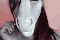 20260704-horse-face
