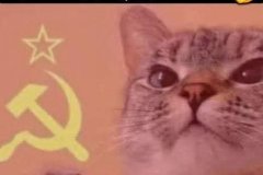 20260704-i-share-our-memes