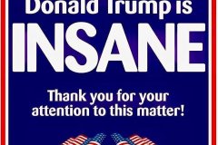 20260704-is-insane