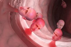 20260704-stephen-miller