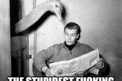 20260704-stupidest-thing