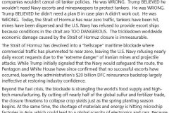20260704-trump-hormuz-planning