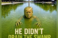 20260704-trump-is-the-swamp