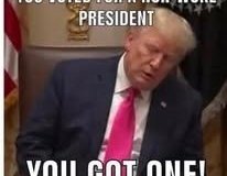 20260704-trump-non-woke