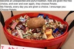 20260713-potato