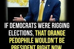 20260713-trump-if-democrats-were-rigging