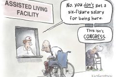 20260714-this-isnt-congress-nick-anderson
