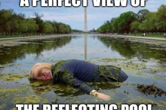 20260716-trump-perfect-view