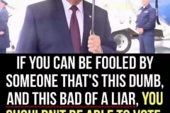 20260716-trump-this-dumb