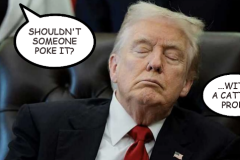 20260817-trump-asleep-poke