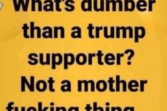 20260830-sumber-than-a-trump-supporter