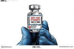 20260831-anti-stupidity-vaccine
