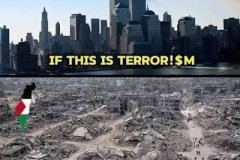 20260831-if-this-is-terrorism