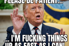 20260831-trump-fucking-it-up-as-fast