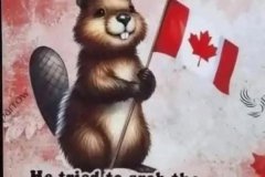 20260831-trump-grabbed-the-wrong-beaver