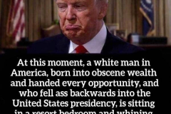 20260831-trump-white-man-in-america