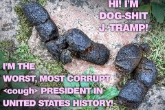20260915-trump-dogshit-j-tramp