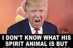 20260915-trump-rabies